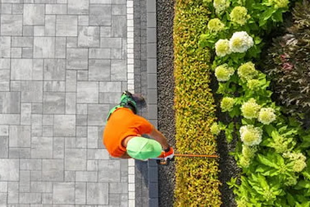 Are Your Shrubs Hurting Your Curb Appeal? 5 Signs It’s Time for Professional Care in Hartwell