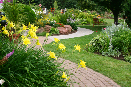 The Benefits of Regular Fertilization for Your Georgia Lawn