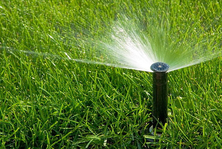 How Often Should You Water Your Lawn in Georgia Heat?