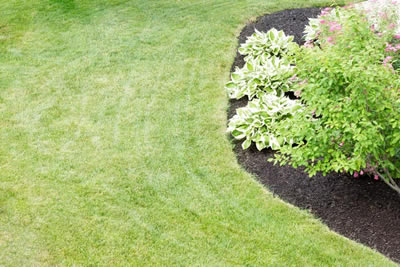 Lawn Maintenance
