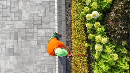 Shrub Care