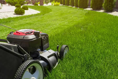 Weekly Mowing Services